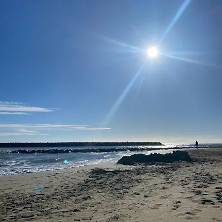 T2+cabine Dans Au Cap D'agde * Agde