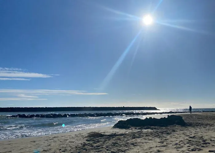 T2+cabine Dans Au Cap D'agde * Agde